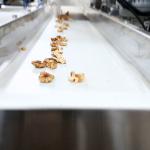 Stainless Steel Food Grade Walnut Shelling Machine 380V 2 Tons Output