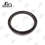 BZ5161E BZ6524E Excavator Seals Crankshaft Rear And Front Oil Seal For DE12T