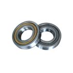 High Speed Cylindrical Roller Bearings N205 N220 N200 Series Gcr15 N206 Bearing