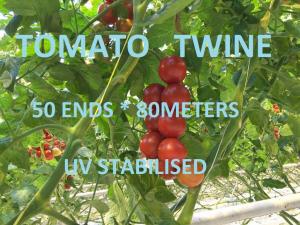 Quality Greenhouse Tomato Tying Twine Colorful Plastic Garden Packing Raffia String wholesale