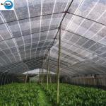 100% Virgin PE Agricultural /Agri/ Greenhouse/ Hoticulture/ Vegetable/ Garden/