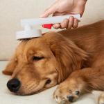 SPA Pet Massage Deep Hair Removal Comb White Blue Pink Color