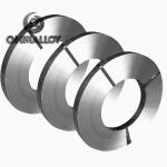 DIN 2.0742 Nickel Silver Tape Germany Silver CW410J 0.2mmx250mm Max