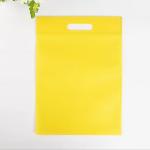 Eco Friendly Reusable 30GSM Pp Non Woven Bags