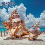 Large outdoor metal art conch stainless steel sculpture