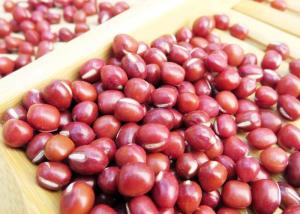 Quality Edema Reduction Main Agricultural Products Vigna Umbellata Red Adzuki Beans wholesale