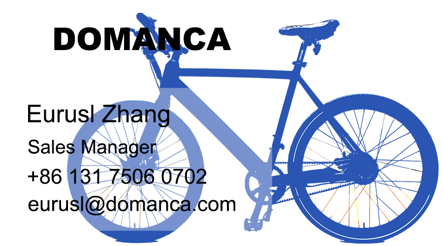 2021 Electric Hybrid Bike with Aluminum Alloy Frame Belt Drive and 5 Internal Hub Gear