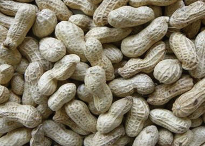 Recyclable 7 Channels Peanut Color Sorter , Cashew Nut Sorting Machine