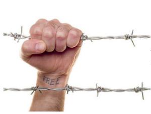 Quality Anti Pressure Sharp Concertina Razor Barbed Wire For Agriculture / Private Homes wholesale