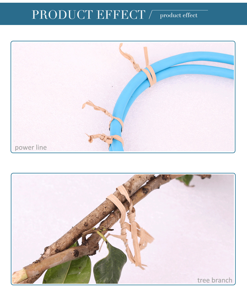 Swansoft CE Certificate Orchard Electric Tying Machine/Binder and Garden Electric Tapetool