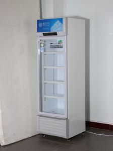 Quality Commercial Mechanical Temperature-Controlled Beverage Display Freezer wholesale