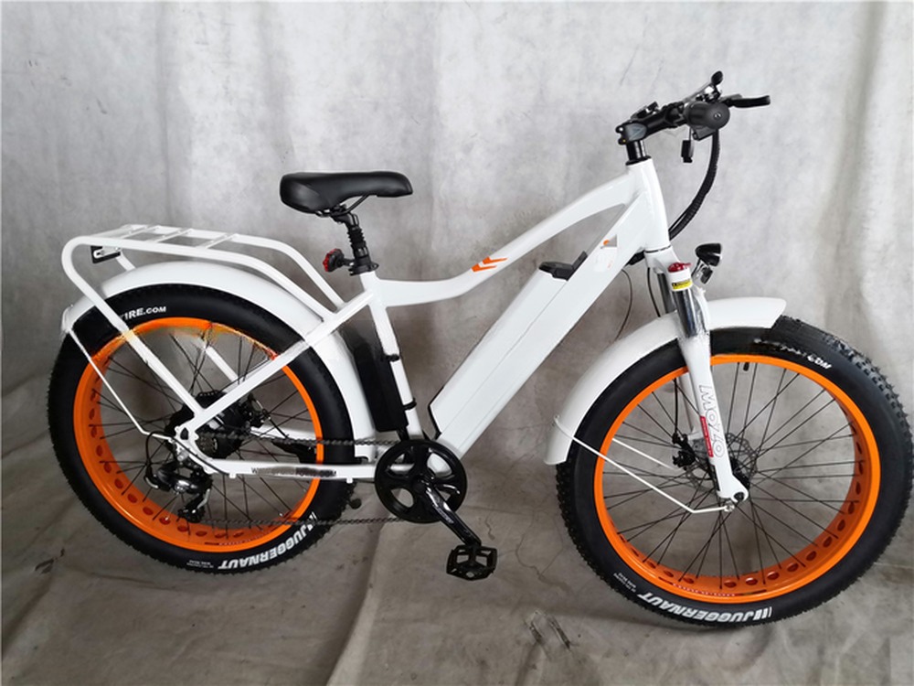 KT Controller 2024 250W 24V 10.4 A PAS Single Speed Electric Bike with Hidden Battery