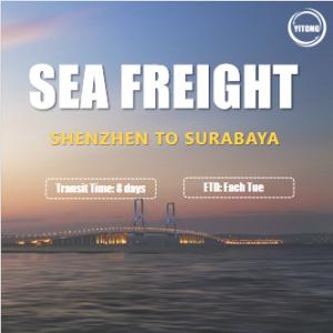 Quality International Sea Freight from Shenzhen to Surabaya Indonesia Competitive Rate wholesale