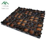 Capped Composite 300mmX300mm 22mm WPC DIY Decking