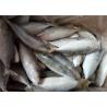 Buy cheap Scomber Japonicus Seafood 60G Frozen Indian Mackerel For Home from wholesalers