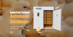 Quality Industrial Automatic Egg Hatching Incubator Double-Layer Observation Window 220v wholesale