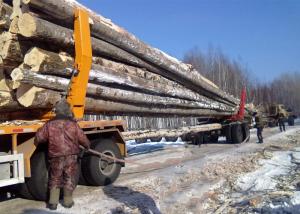 Quality High Strength Steel Log Truck Trailer For Light Logs And Timbers Carrying wholesale