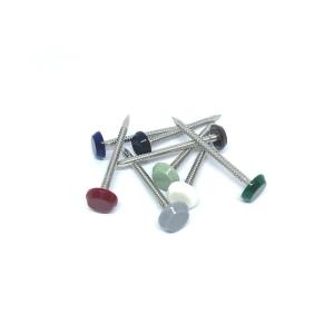 Quality Nylon PA6 Stainless Steel 304L Plastic Head Pins Polished wholesale