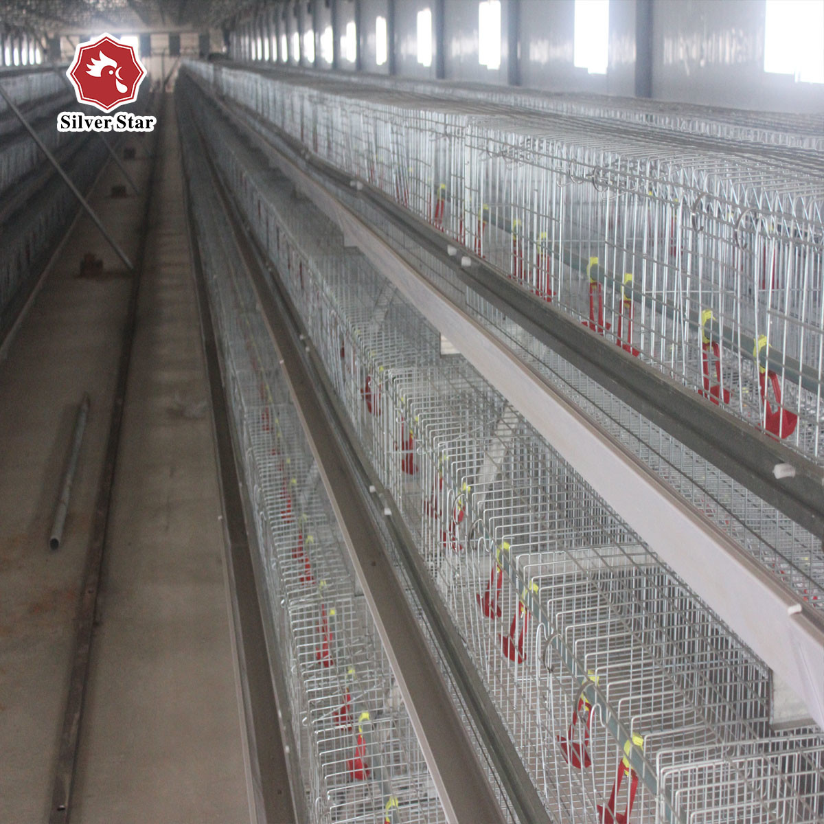 200 Chickens Automatic Layer Chicken Cage Poultry Farming Chicken Hen Cage