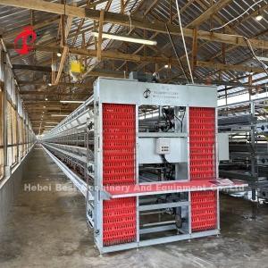 Quality Egg Chicken Farming Poultry Layer Cage Electrostatic Spraying Ada wholesale