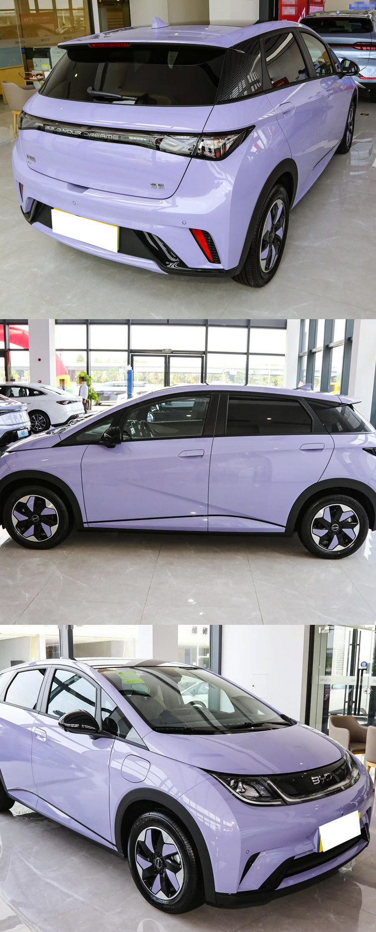 2025 BYD Dolphin Electric SUV with Leather Seats and Electric Rearview Mirror Adjustment