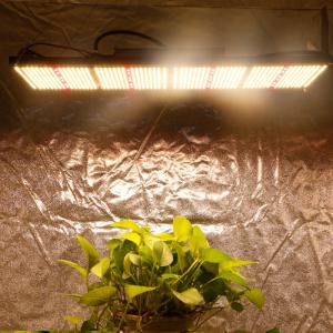 China 2024 top 550 V3 301h 660nm board Led Grow Light, 3000k 3500k led grow light 480w for garden tent on sale