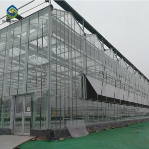 Quality Transparent Hydroponic 0.3KN/M2 Multi Span Greenhouse wholesale