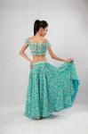Elegant Belly Dancer Costume Blue Green Floor Length Maxi Skirt Plain Neckline