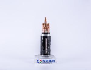 Quality Underwater Waterproof Electrical Cable WDZ-YJY23 0.6kv wholesale