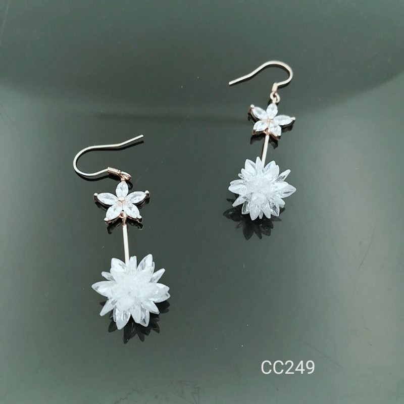 2018 New Style stud earrings Beautiful Silver Earrings For Women XW94