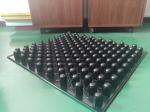 blister trays for seeding PS