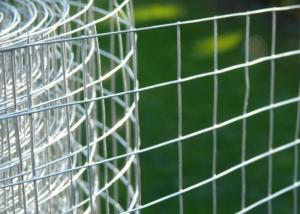 Quality High Durability Galvanized Welded Mesh Rolls For Poultry Raising wholesale