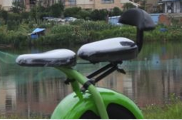 Powerful 1000W Chainless Electric Snow Bike with 18x9.5'' Tires and Lithium Battery
