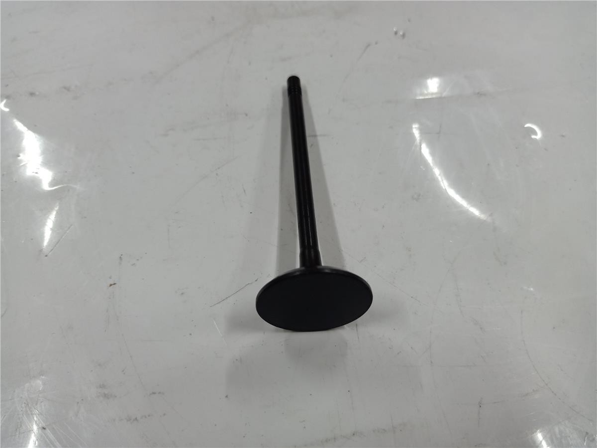 C4.4 1104D Engine Exhaust Valve Intake Valve 3399637 3096678