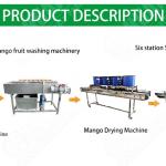 Fruits And Vegetables Washing Machine Washing Machine Assembly Line Vegetable