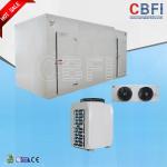 Seafood Fast Freezing Commercial Blast Freezer 150mm Thickness