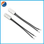 Hair Straightener 10A 200C 240C 250C BW Thermal Protector