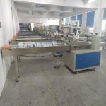 450mm Film 2.8Kw Tray Dumpling Flow Packing Machine