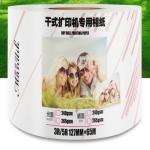 Super White Resin Coated Dry Minilab Waterproof Paper Roll