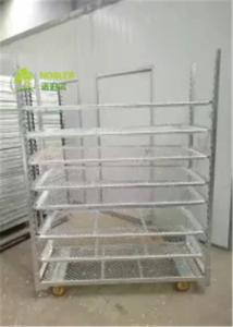 Quality Pull Net Dutch Flower Trolley Cc Trolley Greenhouse Cart , Metal Flower Cart wholesale