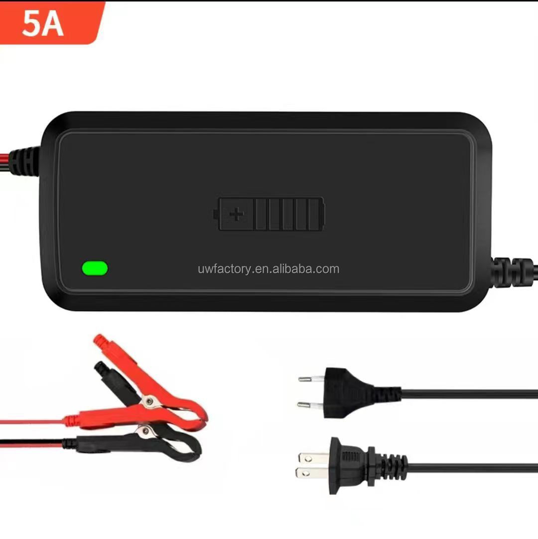 Electric Vehicle 12v 24v 8a 6a 10a Smart Charging Pulse Repair Automatic Maintainer Lead Acid Battery Charger For E-bike