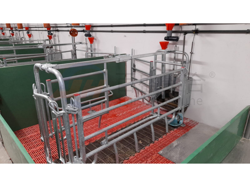 ISO9001 2008/CE/BV Certified Pig Farming Business Plan for Customized Cages and Pen