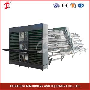 Quality 6 Tiers Chicken Egg Laying Cages Capacity 90/96/120/128/160/200 Star wholesale