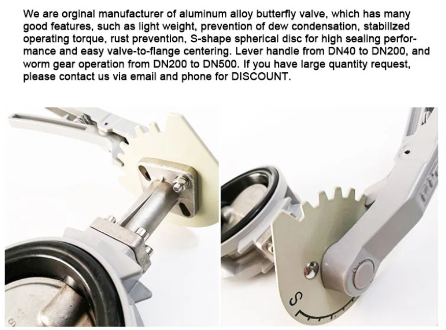 Port Size with Customer's Requirements Sea Water Butterfly Valve DN100 DN500 2" 4