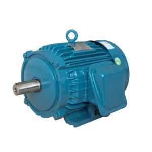 Quality Electrical IEC Standard Motors Cast Iron En 60034 30 1 wholesale