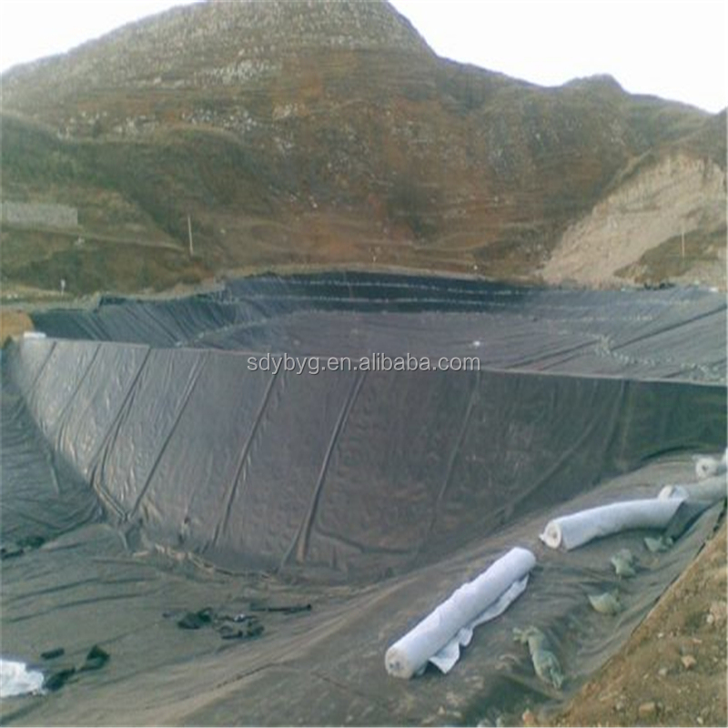 2m-8m Width HDPE Geomembrane Sheet The Best Solution for Biofloc Fish Farm Building