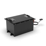 Customized Lithium Ion LiFePO4 Battery Pack 100AH Golf Cart AGV Cleaner Truck