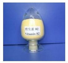 Quality Riboflavin Vitamin B2 wholesale