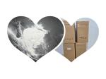 Temperature Resistant PTFE Resin Fine White Powder For Molding