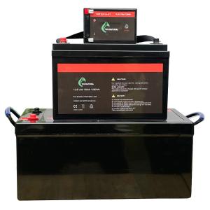 Quality 100ah 2560Wh 12v Lifepo4 Battery Deep Cycle Lifepo4 Prismatic Battery wholesale